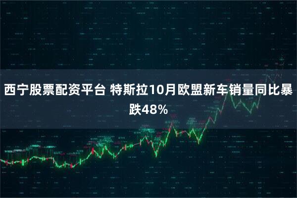 西宁股票配资平台 特斯拉10月欧盟新车销量同比暴跌48%