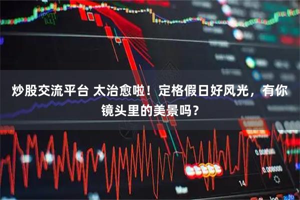 炒股交流平台 太治愈啦！定格假日好风光，有你镜头里的美景吗？